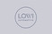 Logo Lowi Automotive